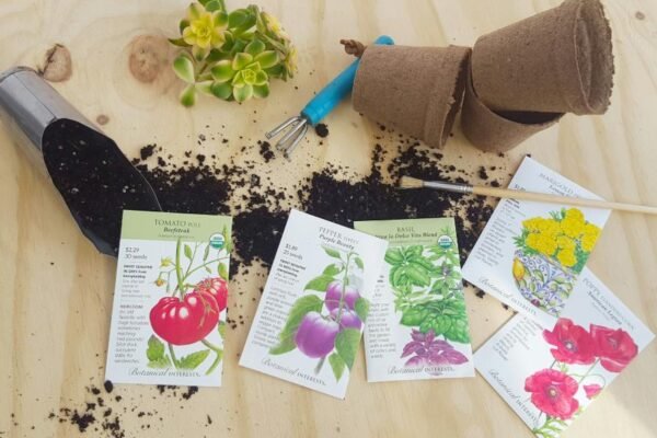 A Comprehensive Guide on How to Use a Garden Seeder Effectively